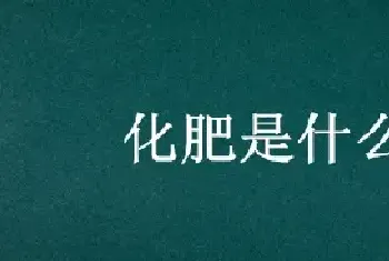 化肥是什么