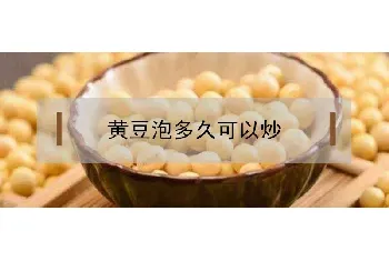 黄豆泡多久可以炒