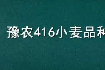 豫农416小麦品种介绍