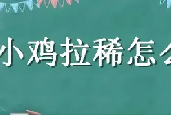 小鸡拉稀怎么办