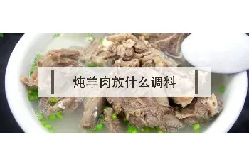 炖羊肉放什么调料