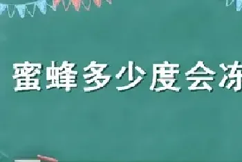 蜜蜂多少度会冻死