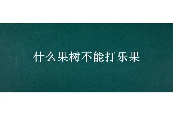 什么果树不能打乐果