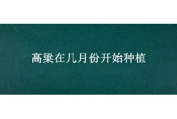 高粱在几月份开始种植