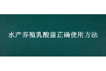 水产养殖乳酸菌正确使用方法