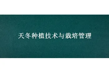 天冬种植技术与栽培管理