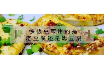 铁板豆腐用的是老豆腐还是嫩豆腐