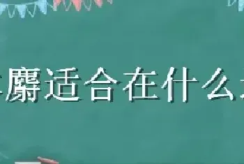 林麝适合在什么地方养