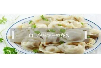 自己包的饺子煮多久