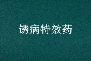 锈病特效药