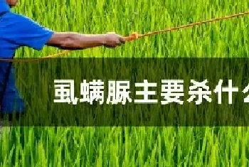 虱螨脲主要杀什么虫