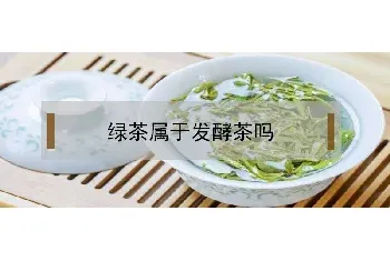 绿茶属于发酵茶吗