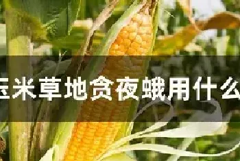 玉米草地贪夜蛾用什么农药防治