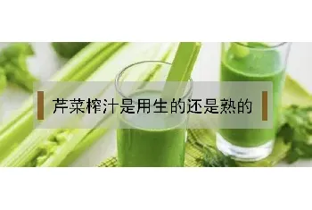 芹菜榨汁是用生的还是熟的