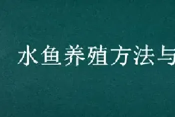 水鱼养殖方法与技术