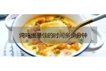 炖鸡蛋最佳的时间多少分钟