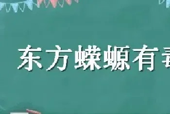 东方蝾螈有毒吗