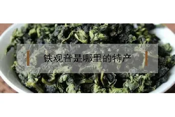 铁观音是哪里的特产