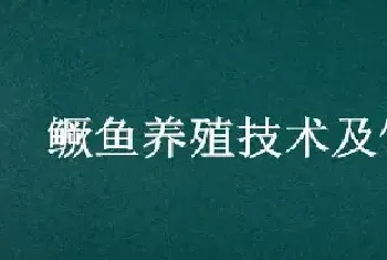 鳜鱼养殖技术及饲料