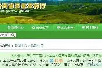 全省酒用高粱种植奖补项目申报！附补助标准及程序