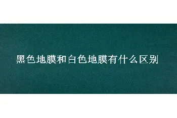 黑色地膜和白色地膜有什么区别