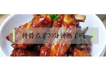 排骨煮了20分钟熟了吗