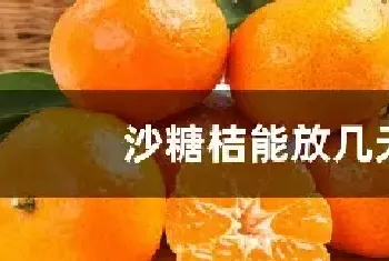 沙糖桔能放几天