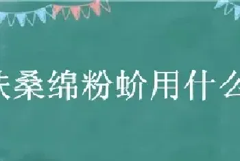 扶桑绵粉蚧用什么药防治