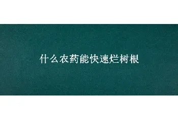 什么农药能快速烂树根