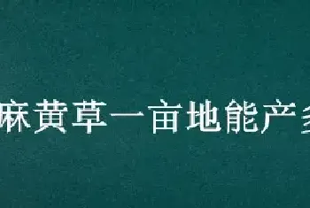 麻黄草一亩地能产多少斤