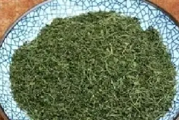 怎样自制酸枣叶茶？要注意什么