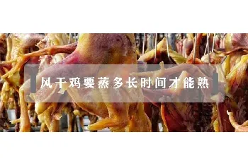 风干鸡要蒸多长时间才能熟