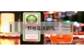 野格是洋酒吗