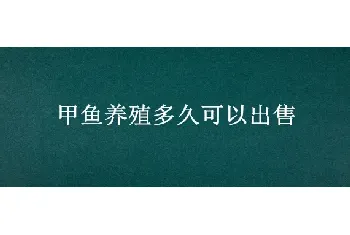 甲鱼养殖多久可以出售