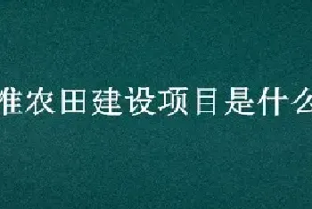 高标准农田建设项目是什么意思