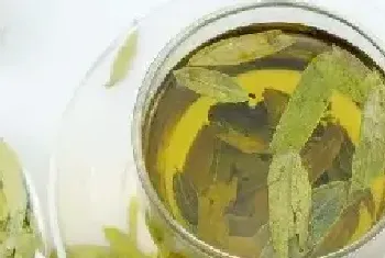 番泻叶茶的功效与作用 番泻叶茶的禁忌