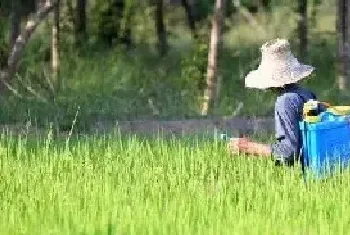 氯虫苯甲酰胺的作用和用途怎么使用