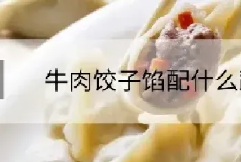 牛肉饺子馅配什么蔬菜