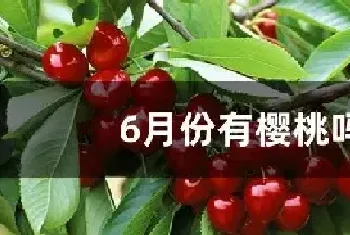 6月份有樱桃吗