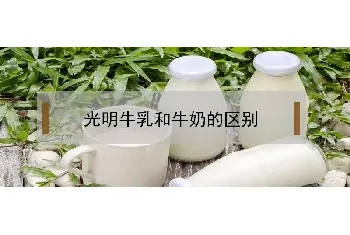 光明牛乳和牛奶的区别