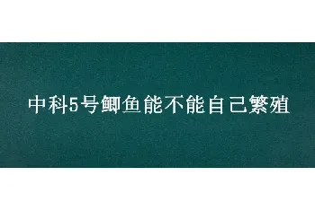 中科5号鲫鱼能不能自己繁殖