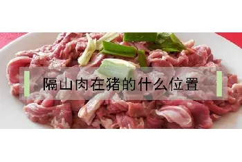 隔山肉在猪的什么位置