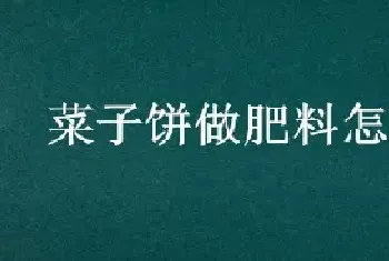 菜子饼做肥料怎么用