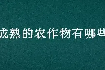 秋天成熟的农作物有哪些颜色