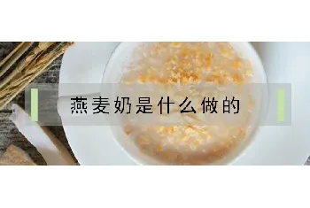 燕麦奶是什么做的