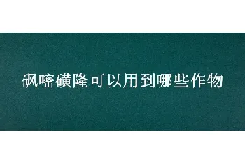 砜嘧磺隆可以用到哪些作物