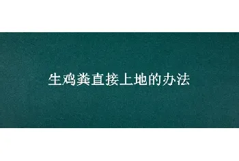 生鸡粪直接上地的办法