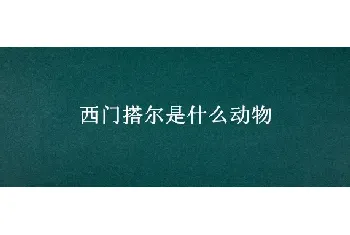 西门搭尔是什么动物