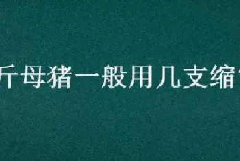 500斤母猪一般用几支缩宫素