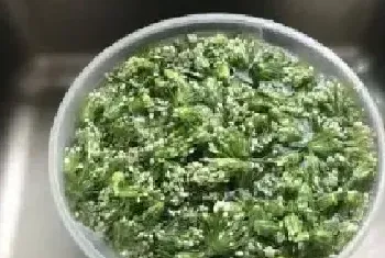 韭菜花的功效与作用 韭菜花的禁忌